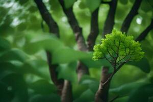 een klein boom is groeit in de midden- van een groen Woud. ai-gegenereerd foto