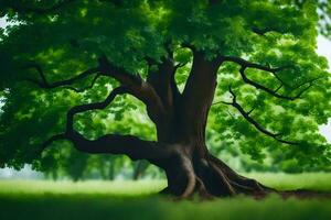 foto behang de lucht, bomen, gras, grasland, bomen, groente, boom, boom. ai-gegenereerd