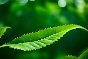 een dichtbij omhoog van een blad met groen bladeren. ai-gegenereerd foto