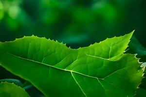 een dichtbij omhoog van een groen blad. ai-gegenereerd foto