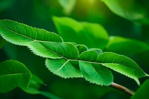 een dichtbij omhoog van een groen blad. ai-gegenereerd foto