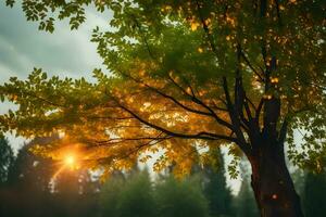 foto behang de lucht, bomen, herfst, de zon, bomen, de Woud, de zon. ai-gegenereerd