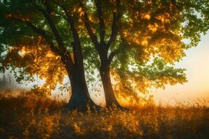 twee bomen in de veld- met de zon schijnend door de bomen. ai-gegenereerd foto