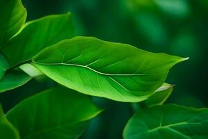 een dichtbij omhoog van een groen blad. ai-gegenereerd foto