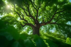 een groot boom in de midden- van een groen Woud. ai-gegenereerd foto