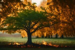 een boom met vlammen in de omgeving van het in de midden- van een veld. ai-gegenereerd foto