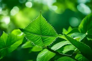 een dichtbij omhoog van groen bladeren Aan een boom. ai-gegenereerd foto