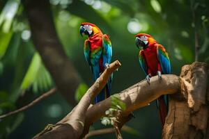 twee kleurrijk papegaaien zittend Aan een Afdeling. ai-gegenereerd foto