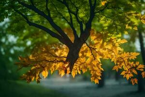 herfst bladeren hangende van een boom in de park. ai-gegenereerd foto