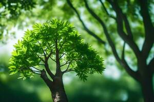 een boom is getoond in de voorgrond met groen bladeren. ai-gegenereerd foto