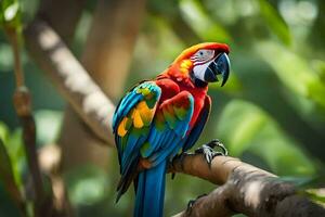 een kleurrijk papegaai zit Aan een Afdeling. ai-gegenereerd foto