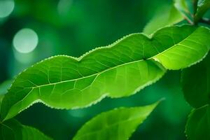 een dichtbij omhoog van een groen blad. ai-gegenereerd foto