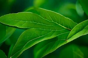 een dichtbij omhoog van een groen blad Aan een fabriek. ai-gegenereerd foto