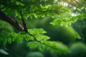 foto behang de lucht, bomen, bladeren, de zon, groente, natuur, de woud,. ai-gegenereerd