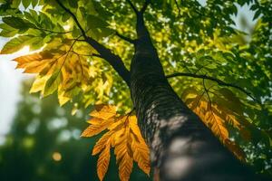 een boom met geel en groen bladeren. ai-gegenereerd foto