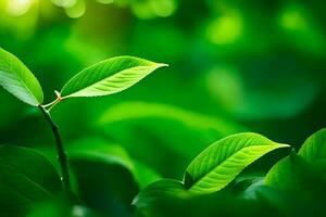 groen bladeren in de zonlicht. ai-gegenereerd foto