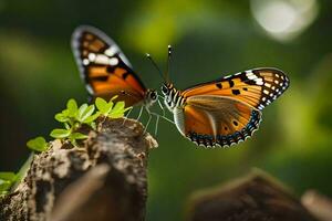 twee vlinders zijn zittend Aan top van een boom. ai-gegenereerd foto