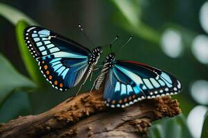 twee vlinders zijn zittend Aan een Afdeling. ai-gegenereerd foto