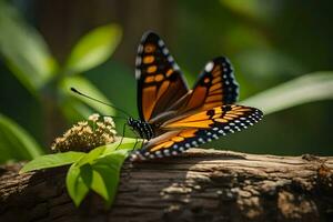 vlinder, vlinder, vlinder, vlinder, vlinder, vlinder, vlinder, vlinder, vlinder. ai-gegenereerd foto
