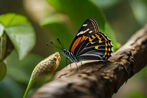 een vlinder is zittend Aan een Afdeling met bladeren. ai-gegenereerd foto