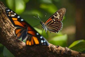 twee vlinders zijn zittend Aan een Afdeling. ai-gegenereerd foto