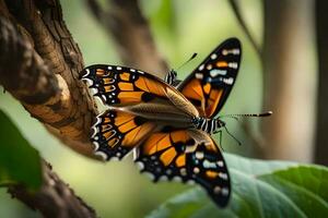 vlinder, vlinder, vlinder Vleugels, vlinder Vleugels, vlinder Vleugels, vlinder Vleugels, vlinder. ai-gegenereerd foto
