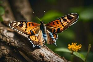 een vlinder met oranje en zwart Vleugels is zittend Aan een Afdeling. ai-gegenereerd foto
