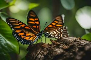 twee vlinders zijn zittend Aan een Afdeling samen. ai-gegenereerd foto