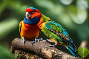 twee kleurrijk vogelstand zittend Aan een Afdeling. ai-gegenereerd foto