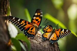 twee vlinders zijn zittend Aan een boom Afdeling. ai-gegenereerd foto