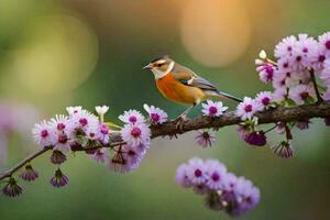 foto behang de lucht, vogel, bloemen, lente, de vogel, de vogel, de vogel. ai-gegenereerd