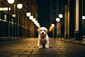 een klein hond staand Aan een straat Bij nacht. ai-gegenereerd foto