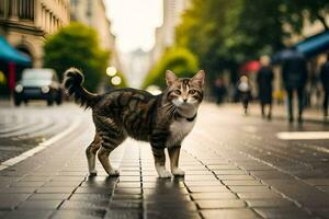 een kat wandelen Aan een stad straat. ai-gegenereerd foto