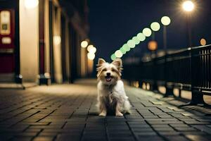 een klein hond zittend Aan de trottoir Bij nacht. ai-gegenereerd foto