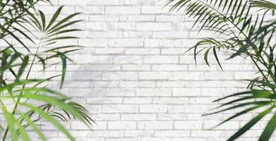 witte bakstenen muur met palmblad