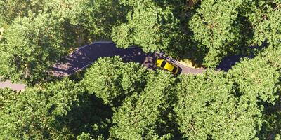 auto die door een bos rijdt van bovenaf gezien foto