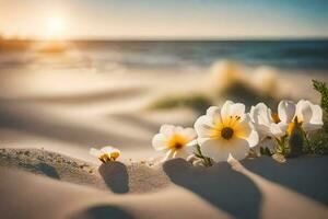 bloemen Aan de strand Bij zonsondergang. ai-gegenereerd foto