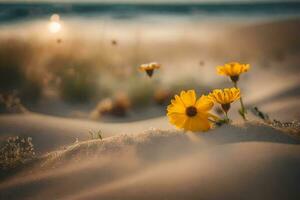 de strand, bloemen, zand, zonsondergang, bloemen, bloemen in de zand, bloemen in de. ai-gegenereerd foto