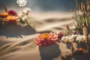 foto behang zand, bloemen, de zon, de zand, bloemen, de woestijn, bloemen,. ai-gegenereerd