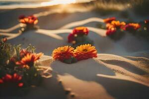 bloemen in de zand Bij zonsondergang. ai-gegenereerd foto