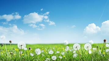 weide met groen gras, bloemen, paardebloemen en zonnig lucht, voorjaar of zomer achtergrond. generatief ai foto