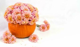 mooi boeket van chrysanten in een pompoen Aan wit tafel. dankzegging viering concept. een knus herfst atmosfeer. detailopname. foto