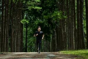 Aziatisch spoor loper is rennen buitenshuis in de pijnboom Woud aarde weg voor oefening en training activiteiten opleiding naar ras in altra marathon naar bereiken gezond levensstijl en geschiktheid concept foto