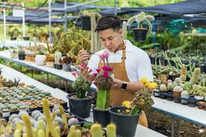 Aziatisch tuinman is werken binnen de kas vol van cactus planten verzameling terwijl propageren door bloem bestuiving voor zaad gebruik makend van klein verf borstel in sier- tuin en hobby concept foto