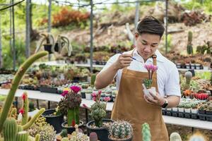 Aziatisch tuinman is werken binnen de kas vol van cactus planten verzameling terwijl propageren door bloem bestuiving voor zaad gebruik makend van klein verf borstel in sier- tuin en hobby concept foto