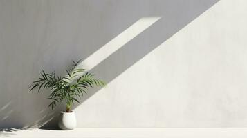schaduw Aan wit muur, plant, licht achtergrond met kopiëren ruimte. generatief ai foto