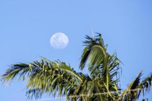 volle maan in een prachtige blauwe lucht foto