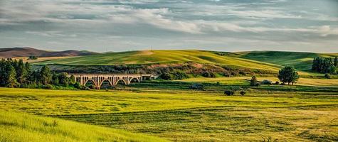 magische tarwevelden in Palouse Washington foto