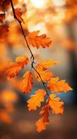 wazig herfst bladeren met Ondiep diepte van veld- foto