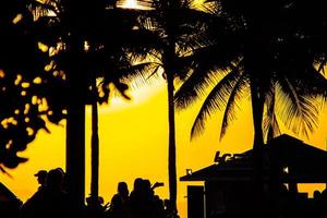 silhouetten van kokospalmen in ipanema, rio de janeiro foto